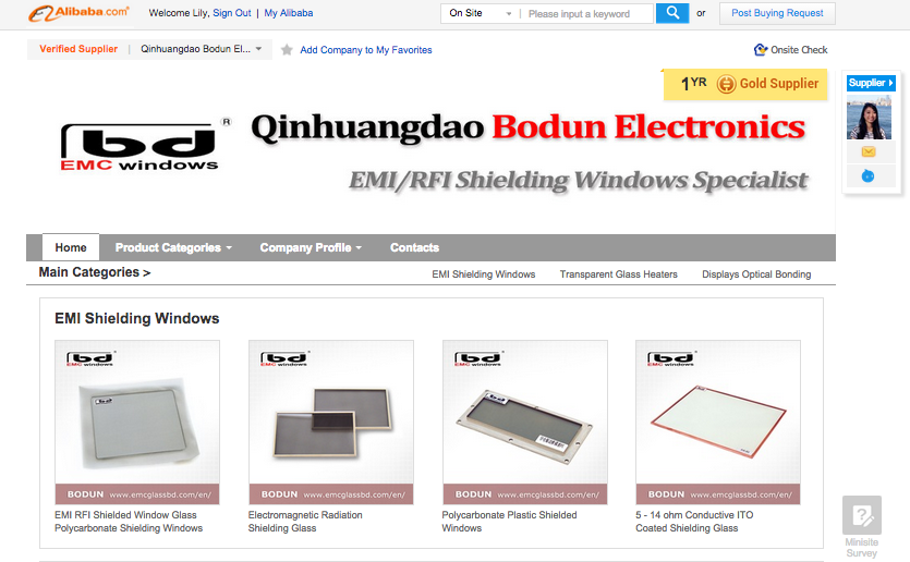 Bodun's e-commerce platform at Alibaba.com